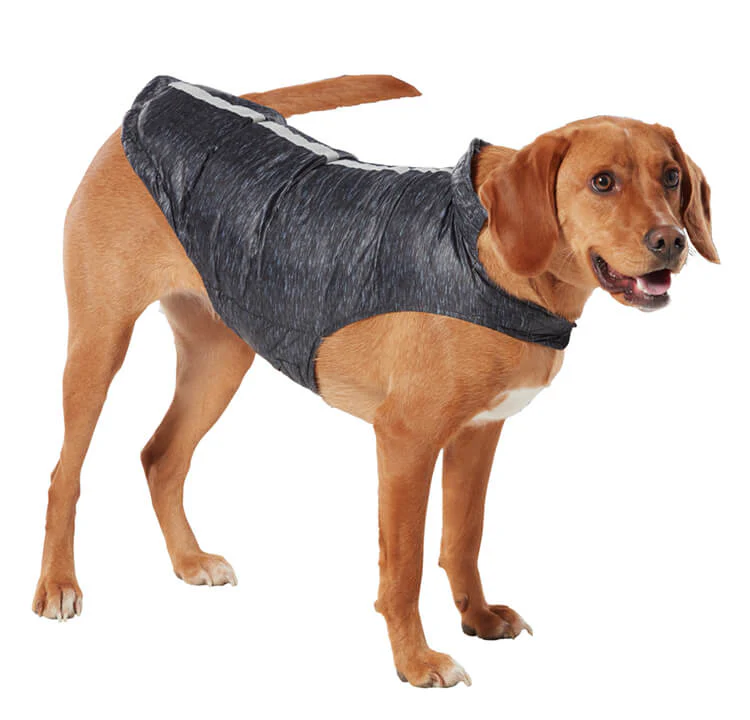 Dog Down Reversible Mock Jacket - Image 10
