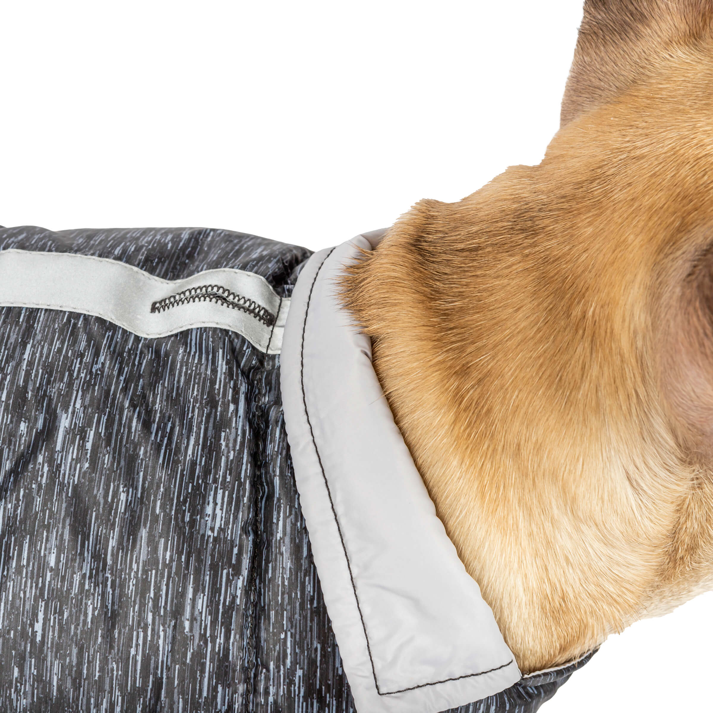 Dog Down Reversible Mock Jacket - Image 11