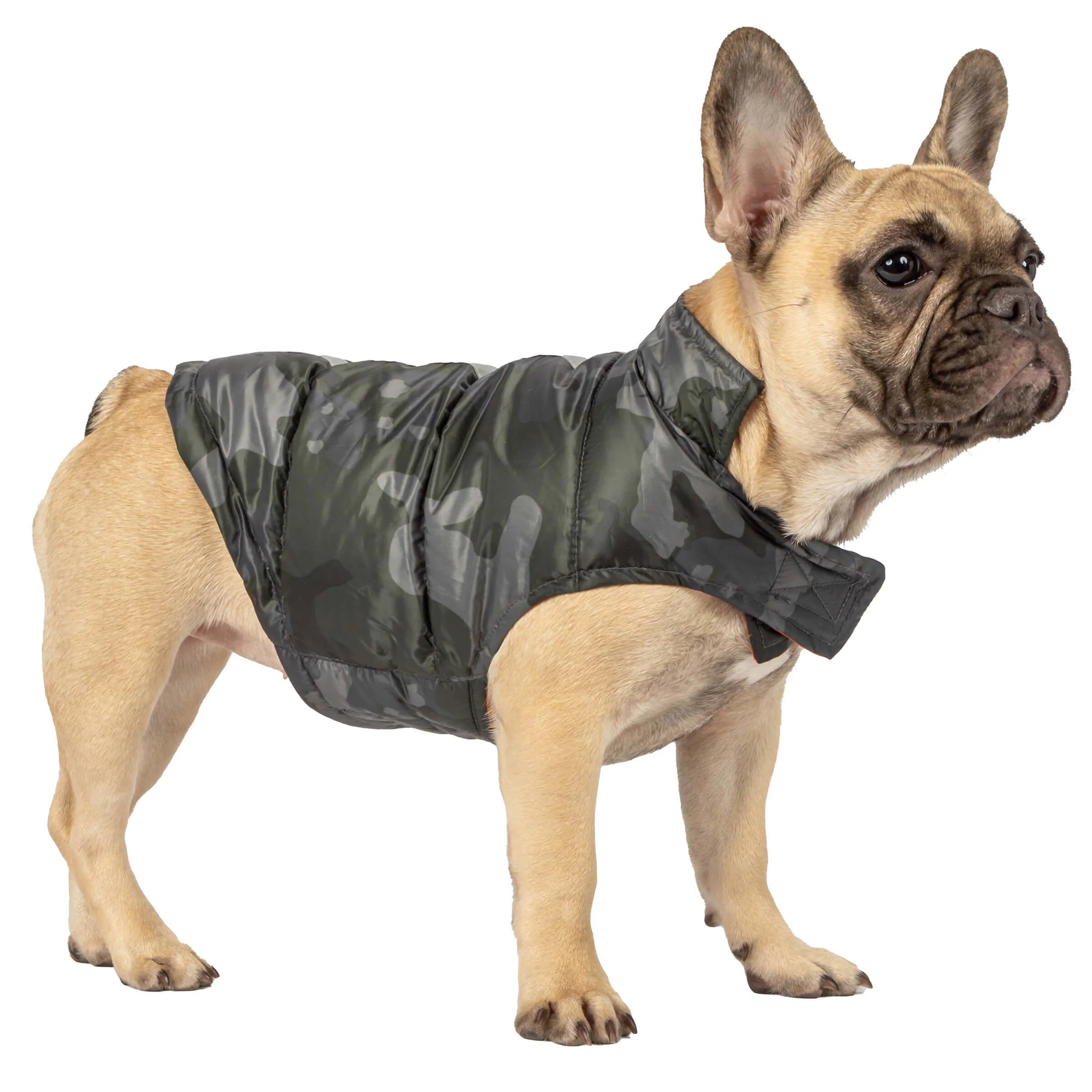 Dog Down Reversible Mock Jacket - Image 12