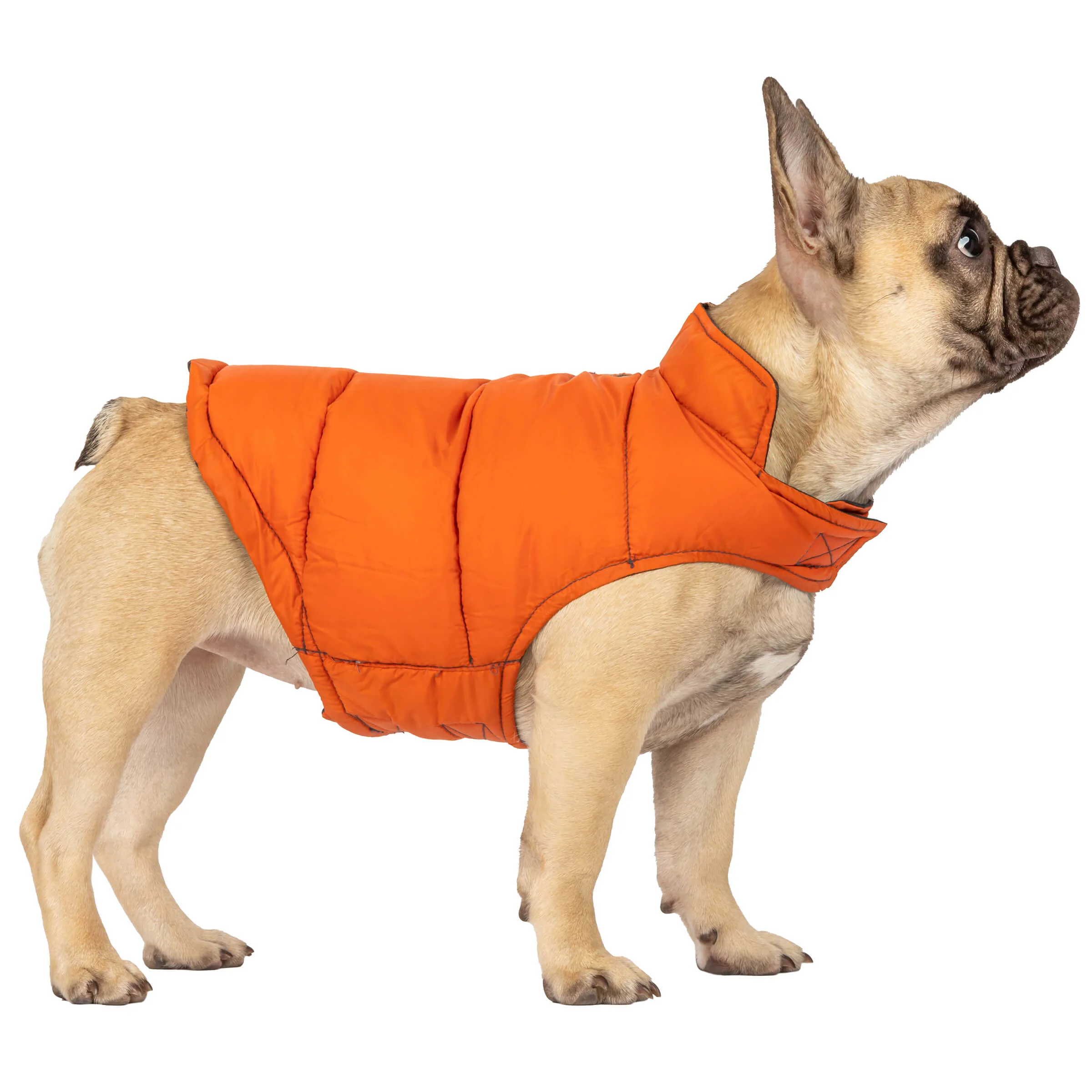 Dog Down Reversible Mock Jacket - Image 13