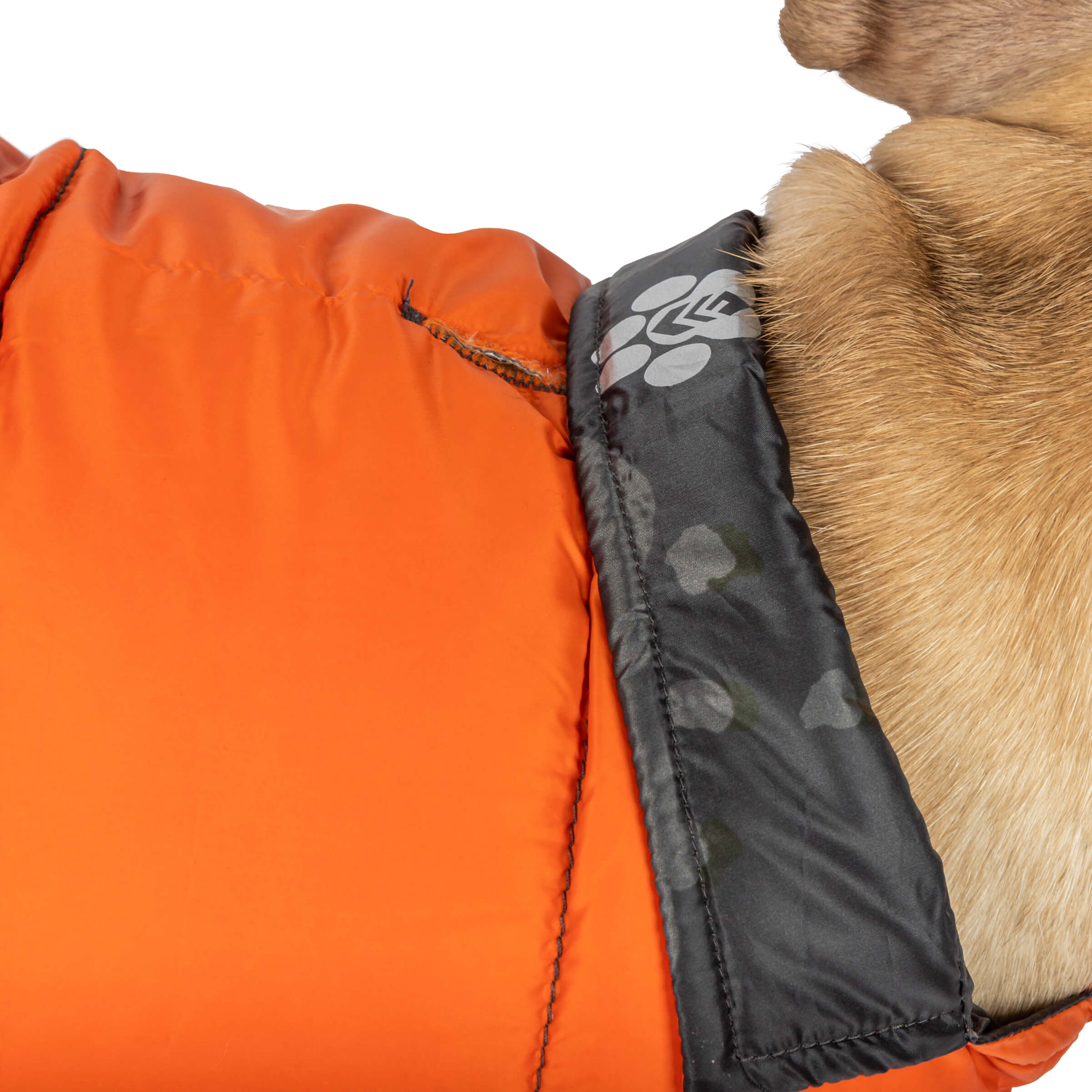 Dog Down Reversible Mock Jacket - Image 15