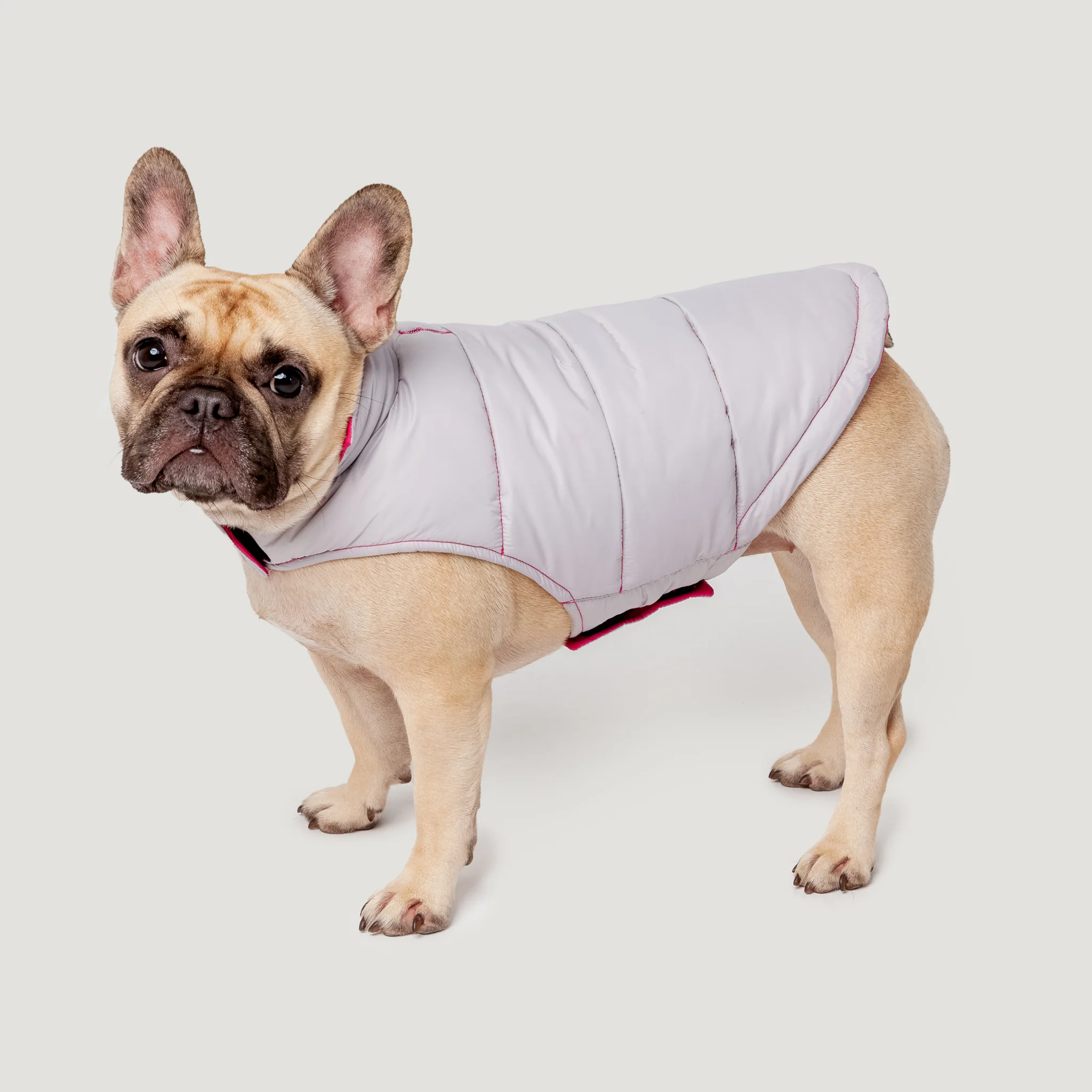Dog Down Reversible Mock Jacket - Image 3