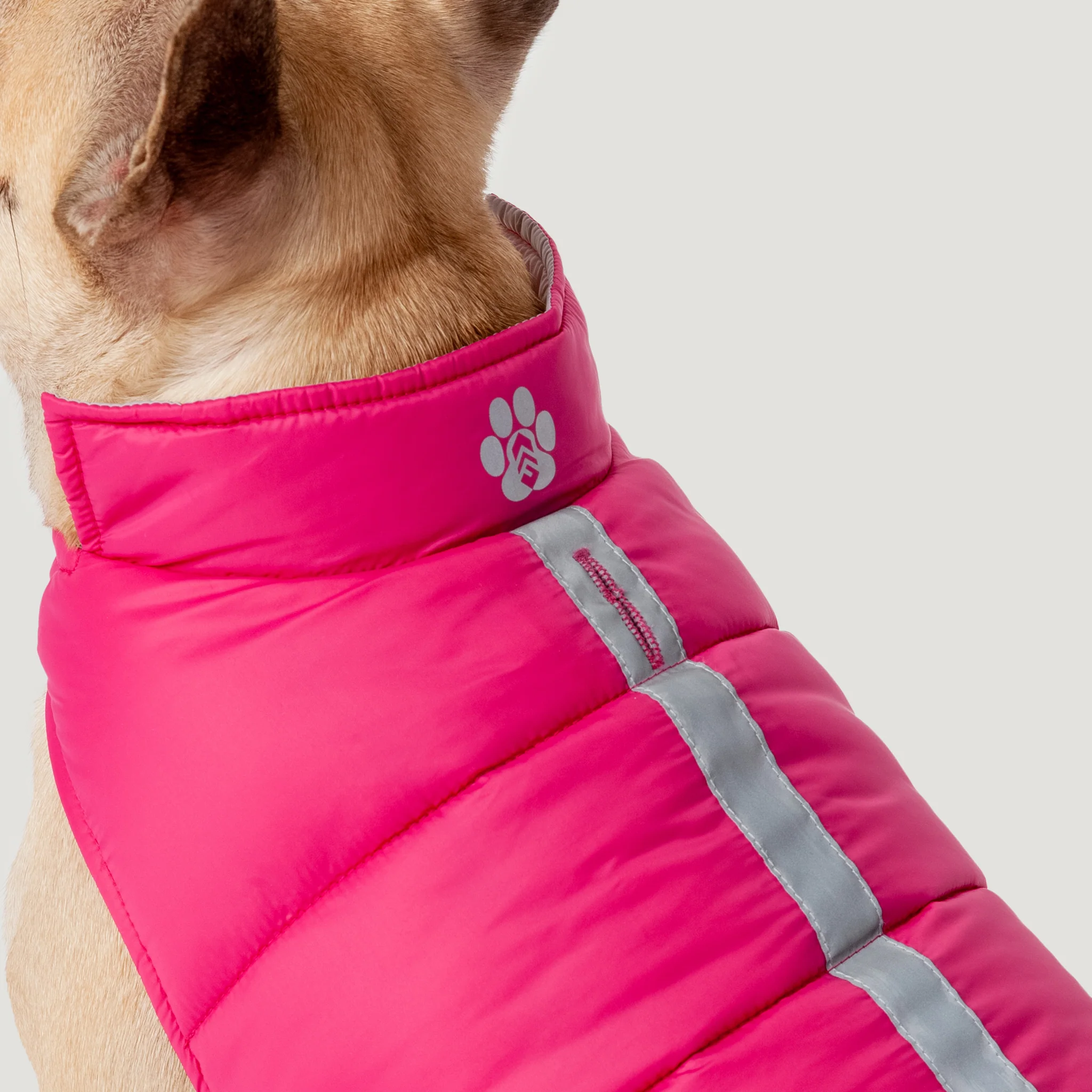 Dog Down Reversible Mock Jacket - Image 4