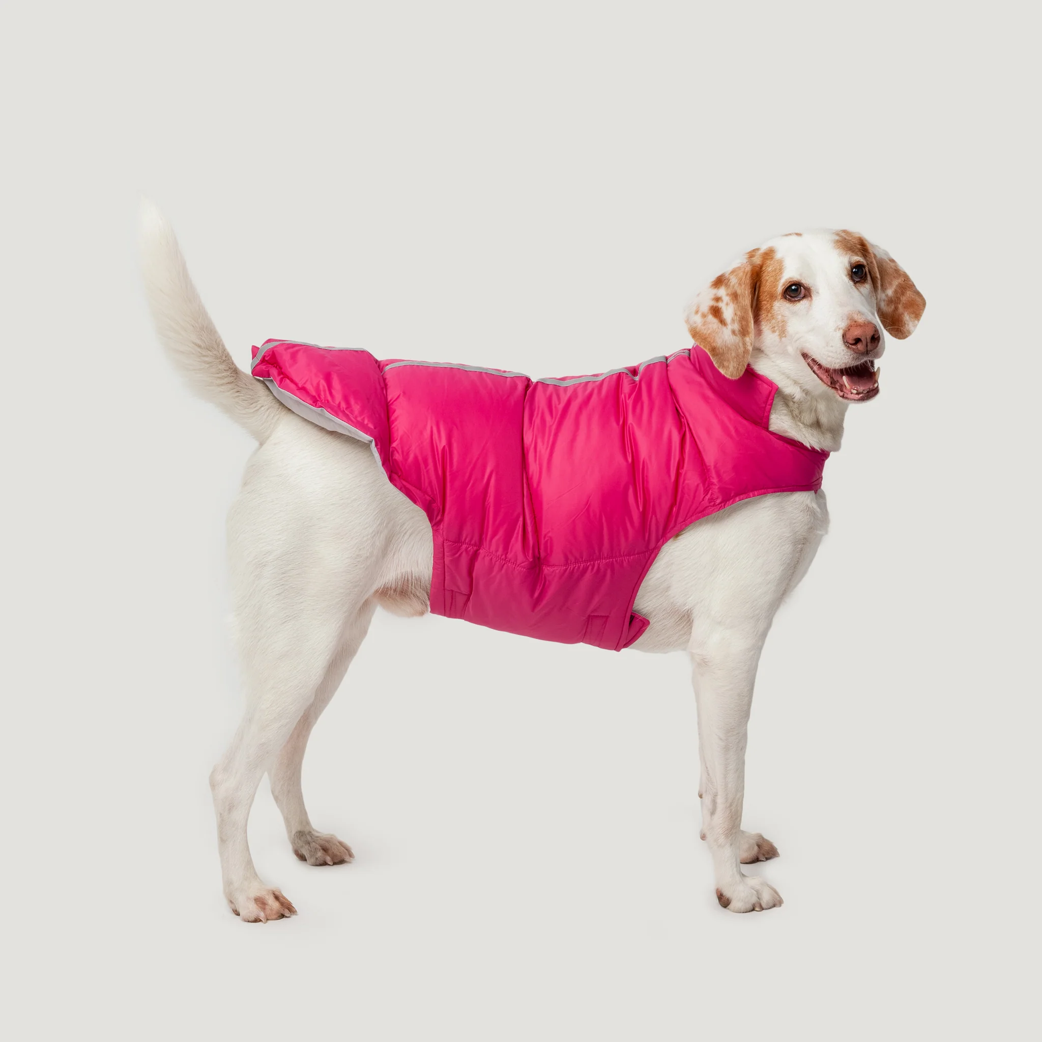 Dog Down Reversible Mock Jacket - Image 5