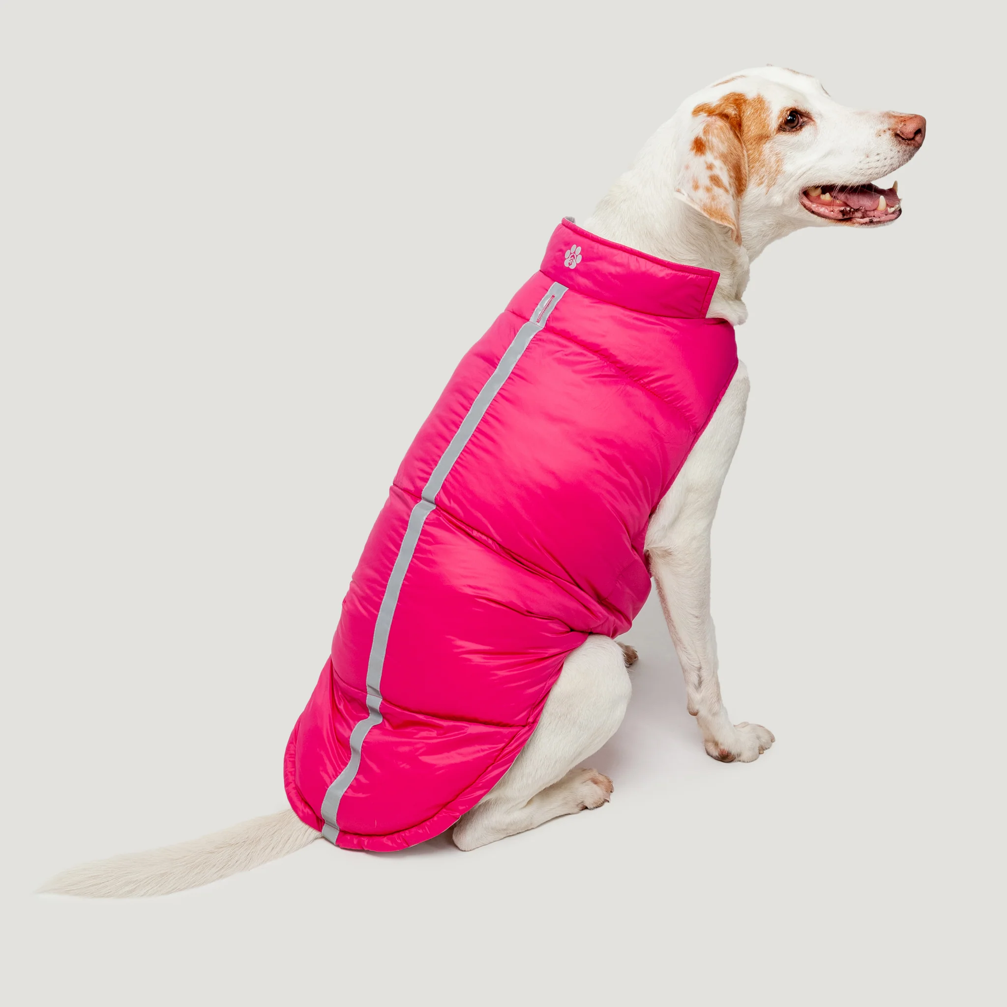 Dog Down Reversible Mock Jacket - Image 6