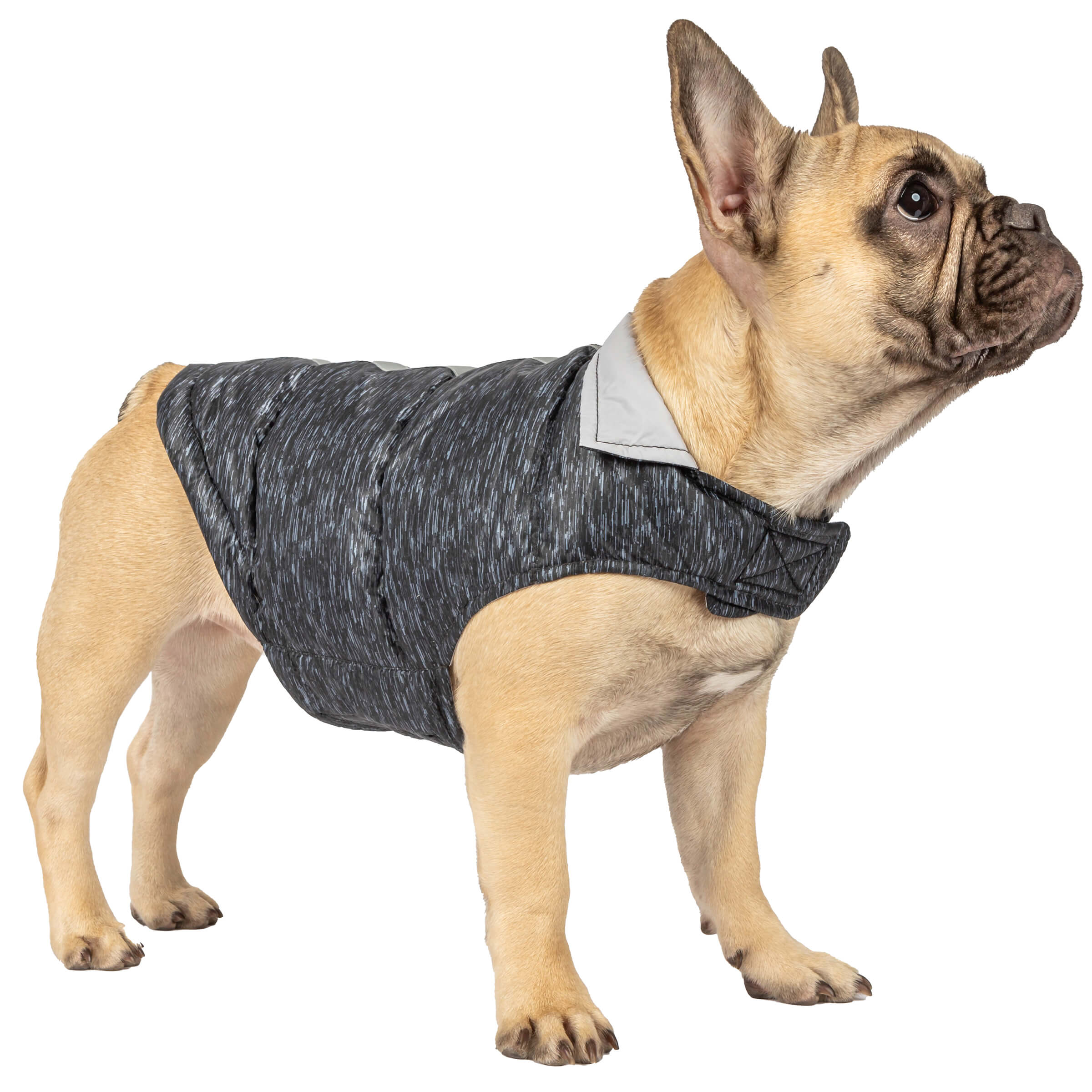 Dog Down Reversible Mock Jacket - Image 7