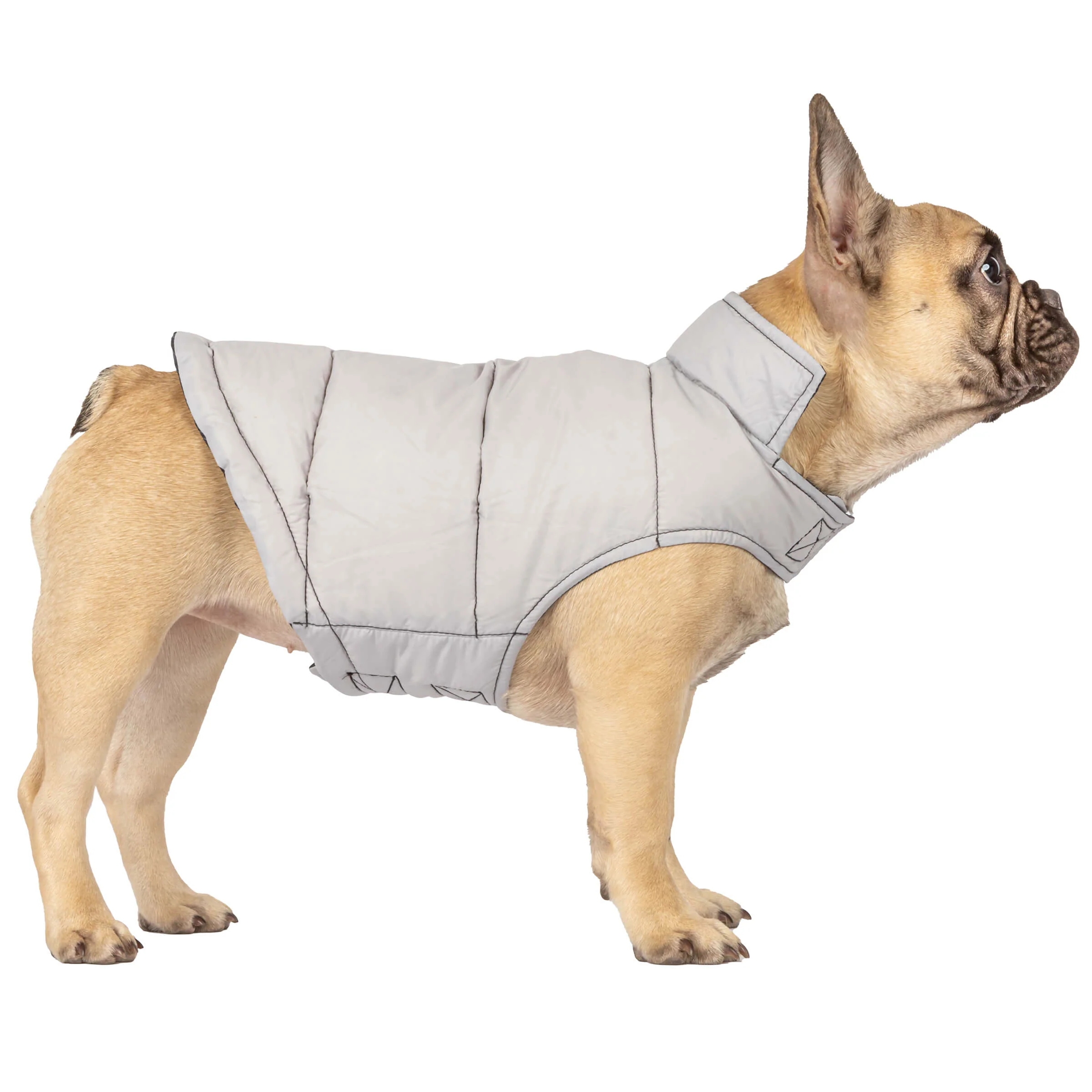 Dog Down Reversible Mock Jacket - Image 8