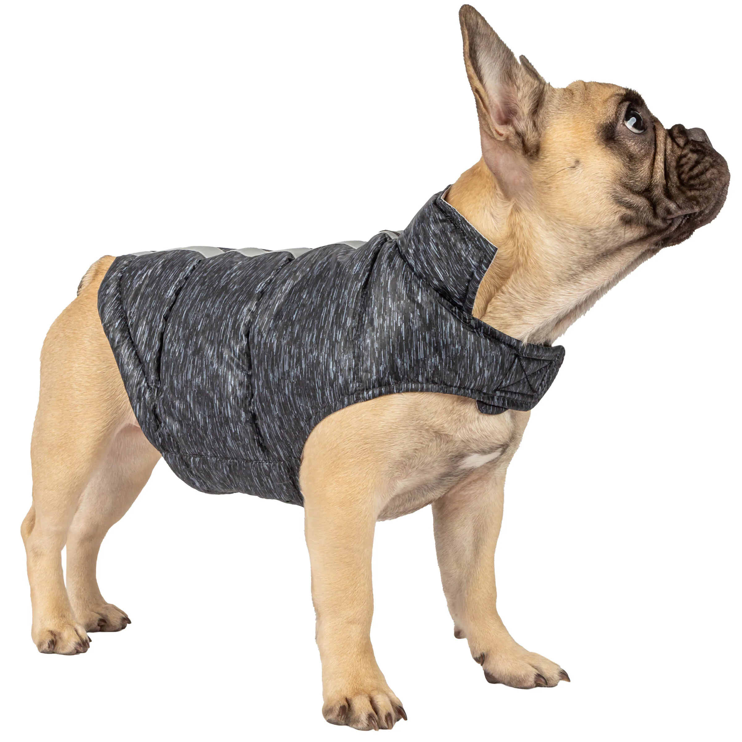 Dog Down Reversible Mock Jacket - Image 9