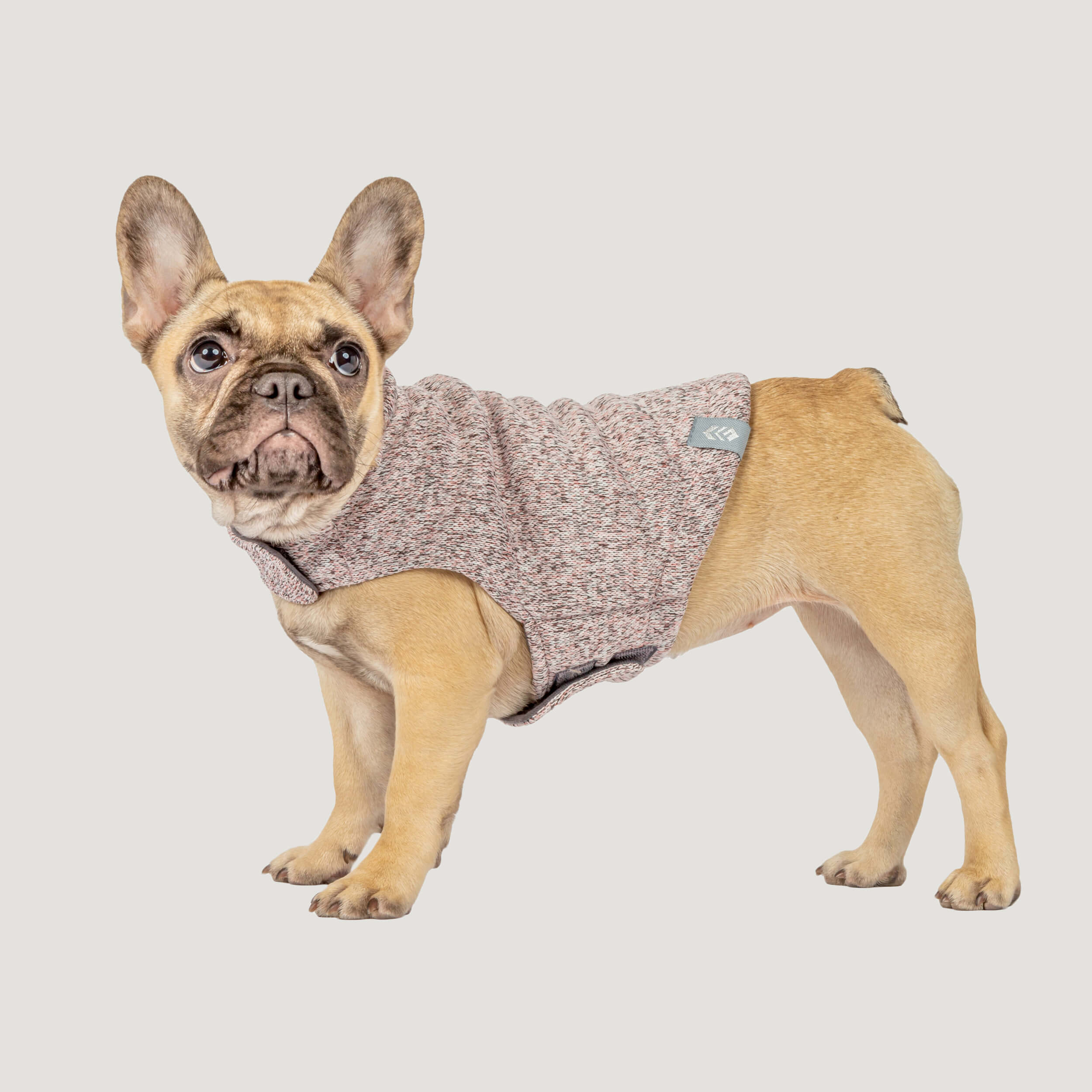 Dog Mountain Fleece Jacket - Image 5