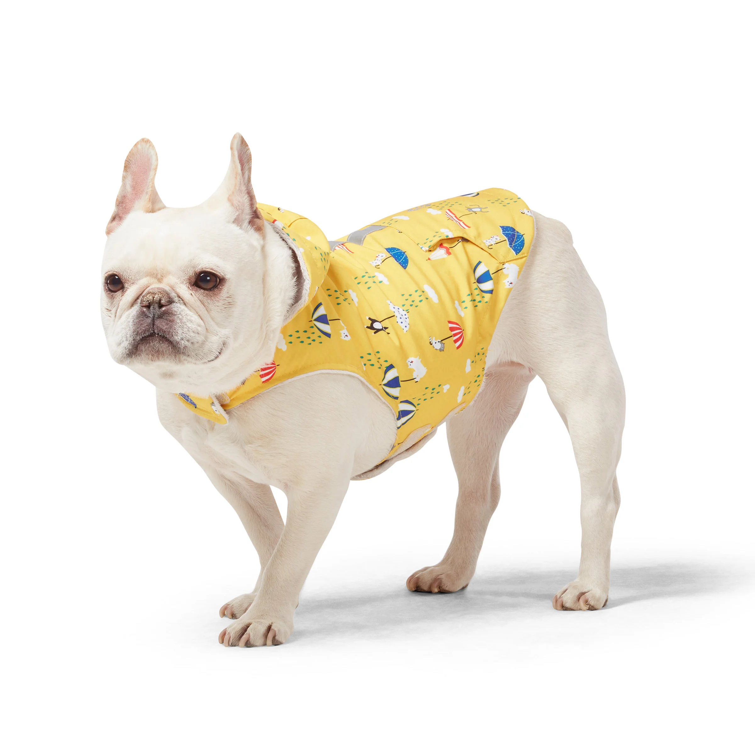 Dog Raincoat - Image 5