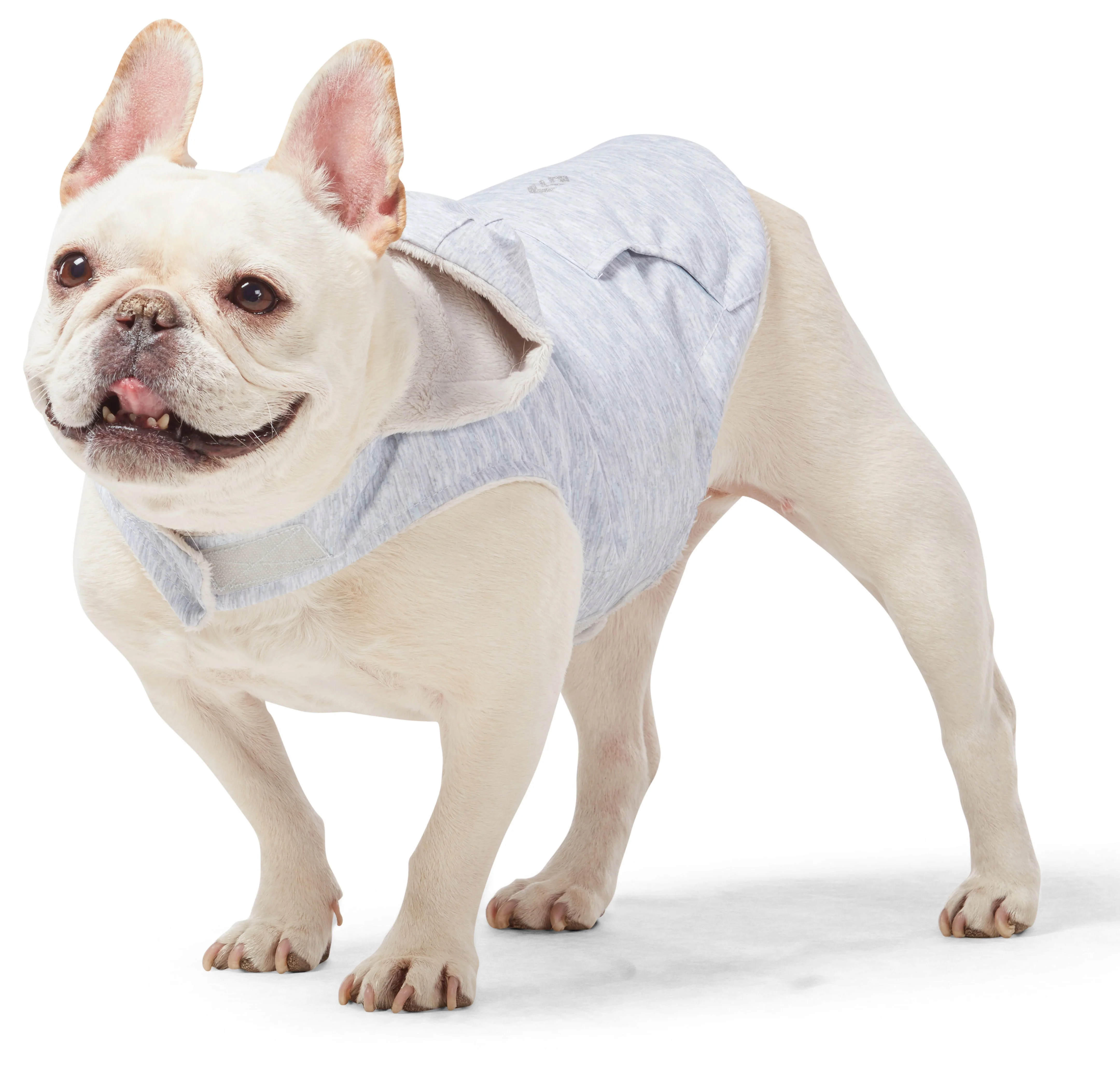 Dog Raincoat - Image 7