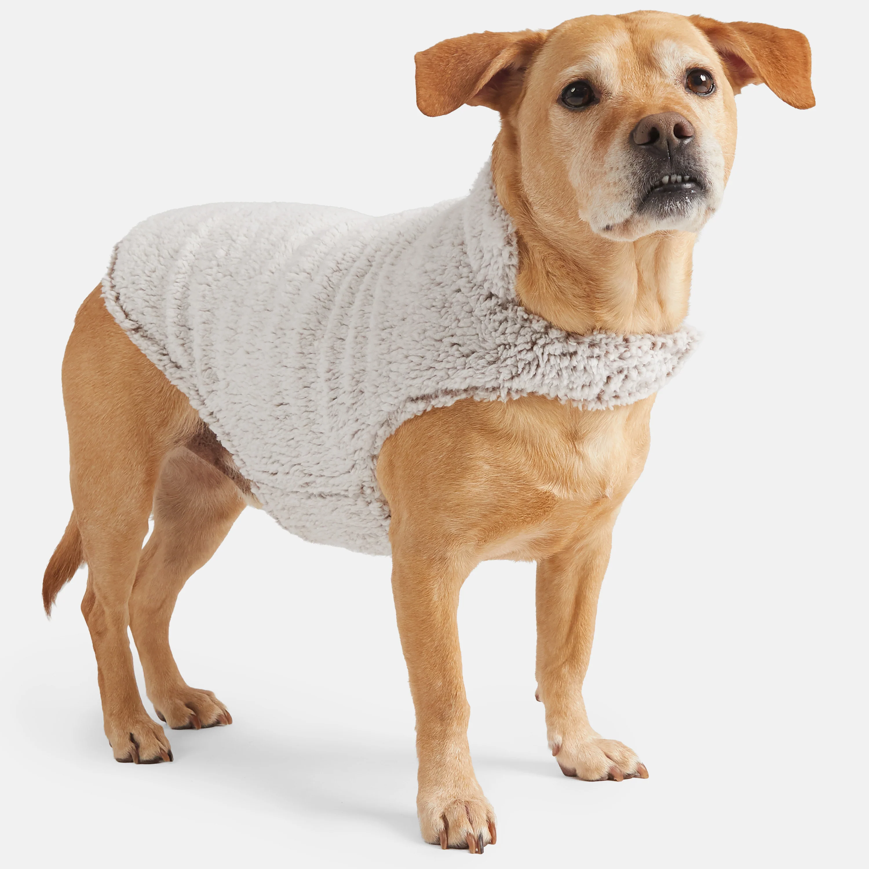 Stratus Lite Reversible Dog Jacket - Image 17