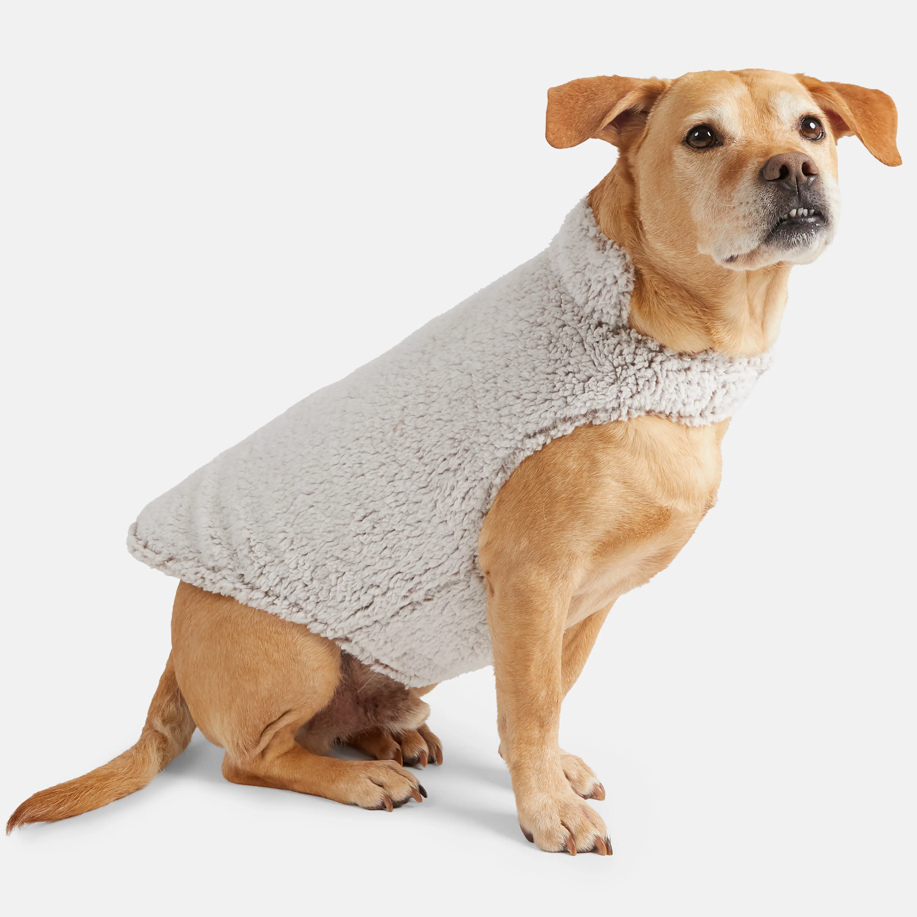 Stratus Lite Reversible Dog Jacket - Image 18