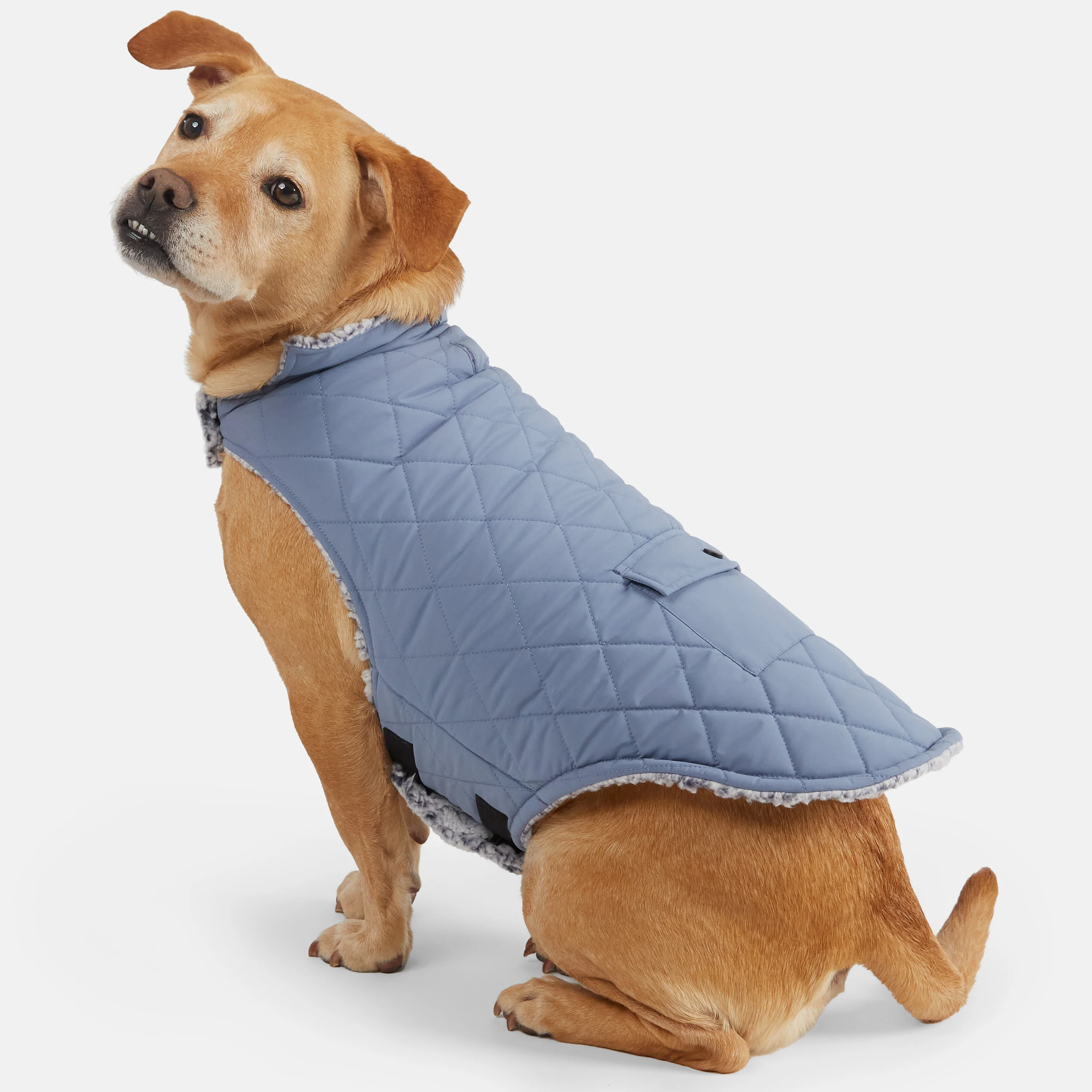 Stratus Lite Reversible Dog Jacket - Image 21