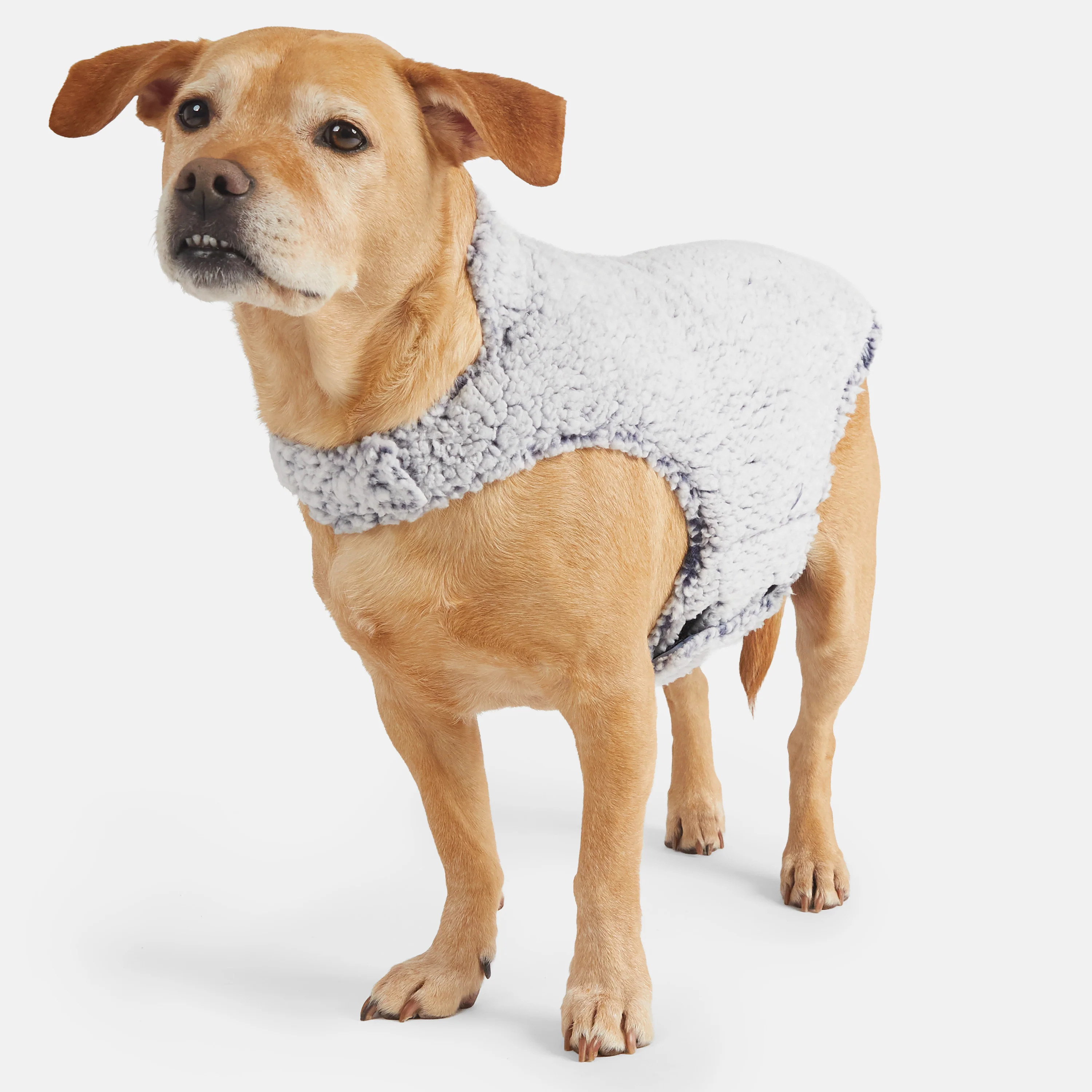 Stratus Lite Reversible Dog Jacket - Image 23