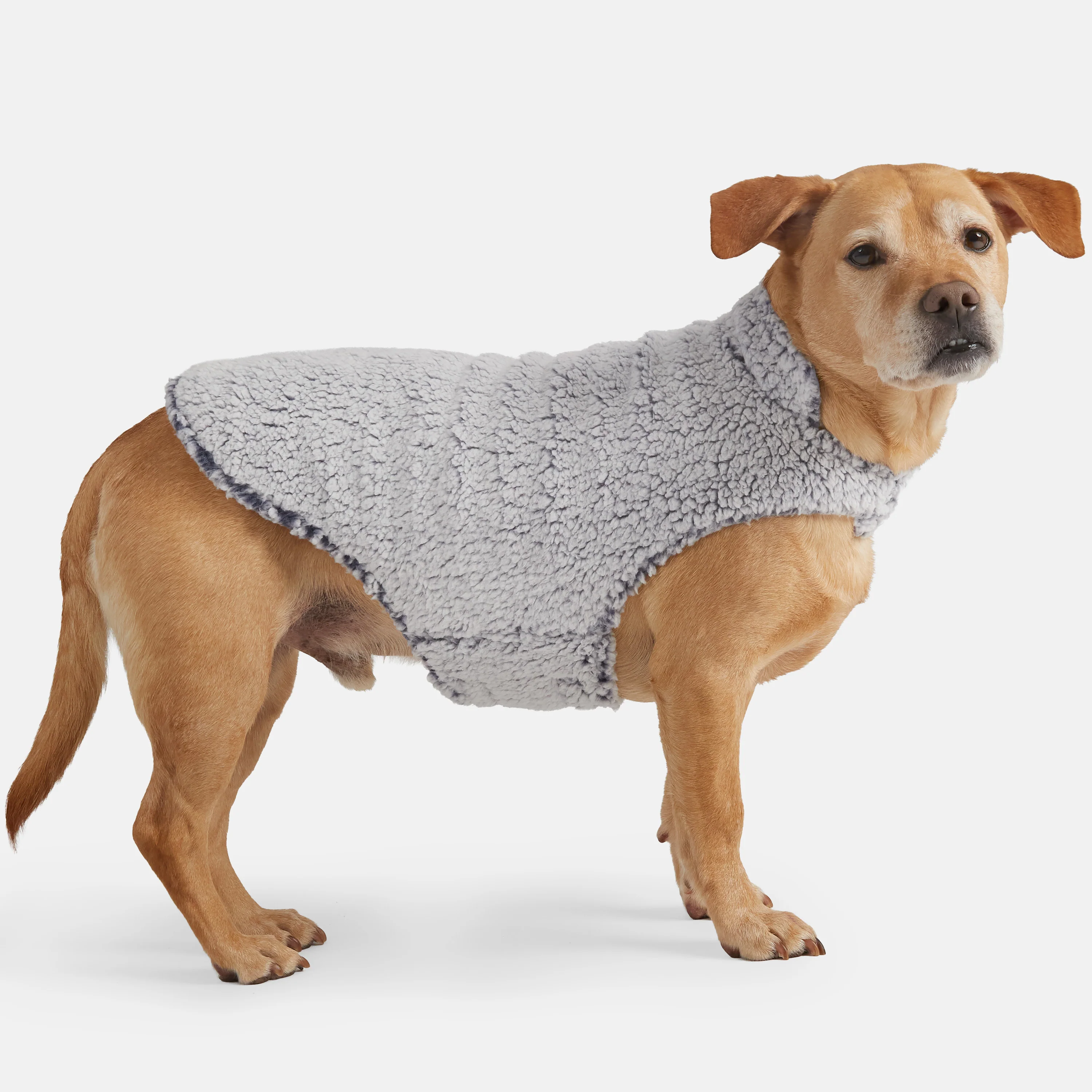 Stratus Lite Reversible Dog Jacket - Image 24