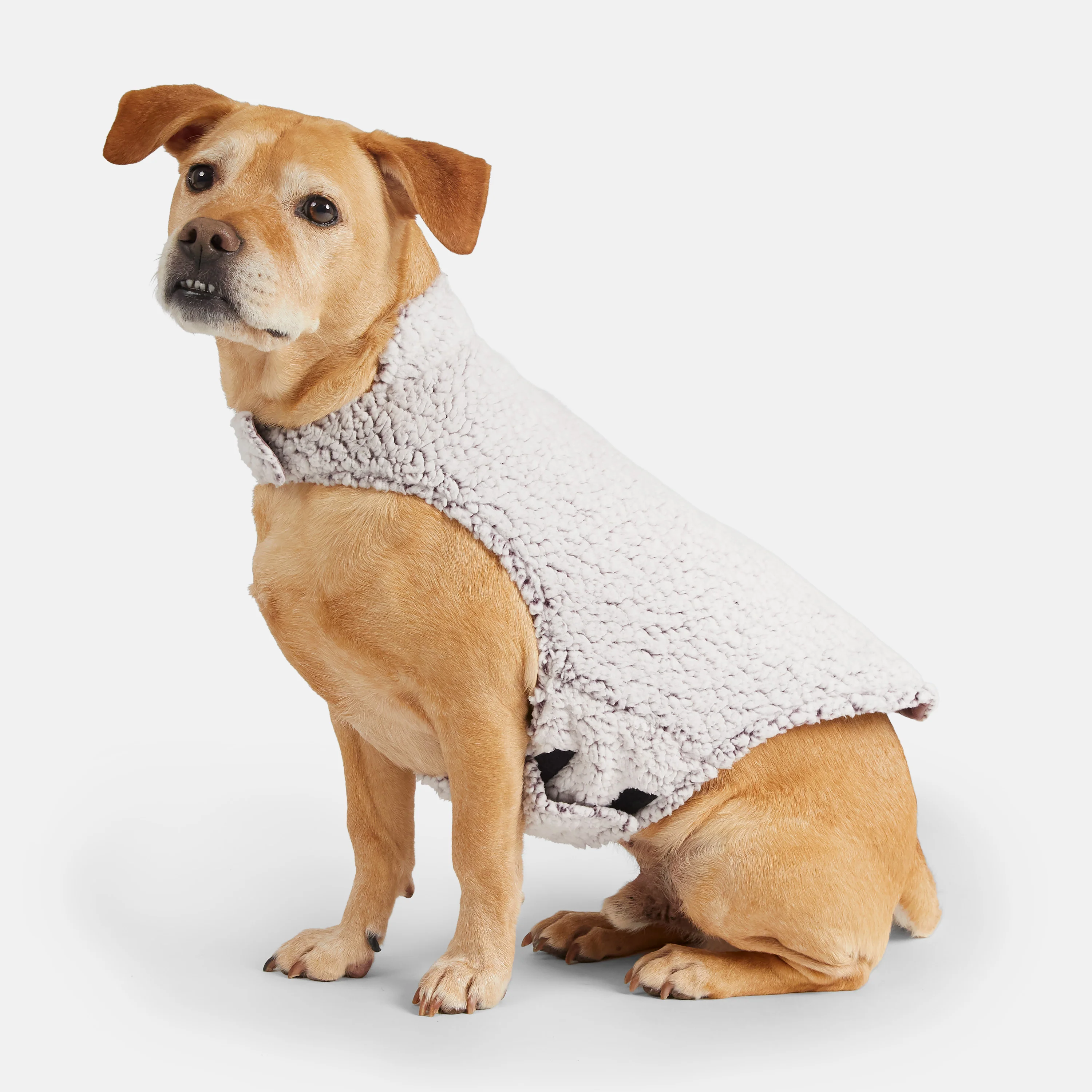 Stratus Lite Reversible Dog Jacket - Image 29