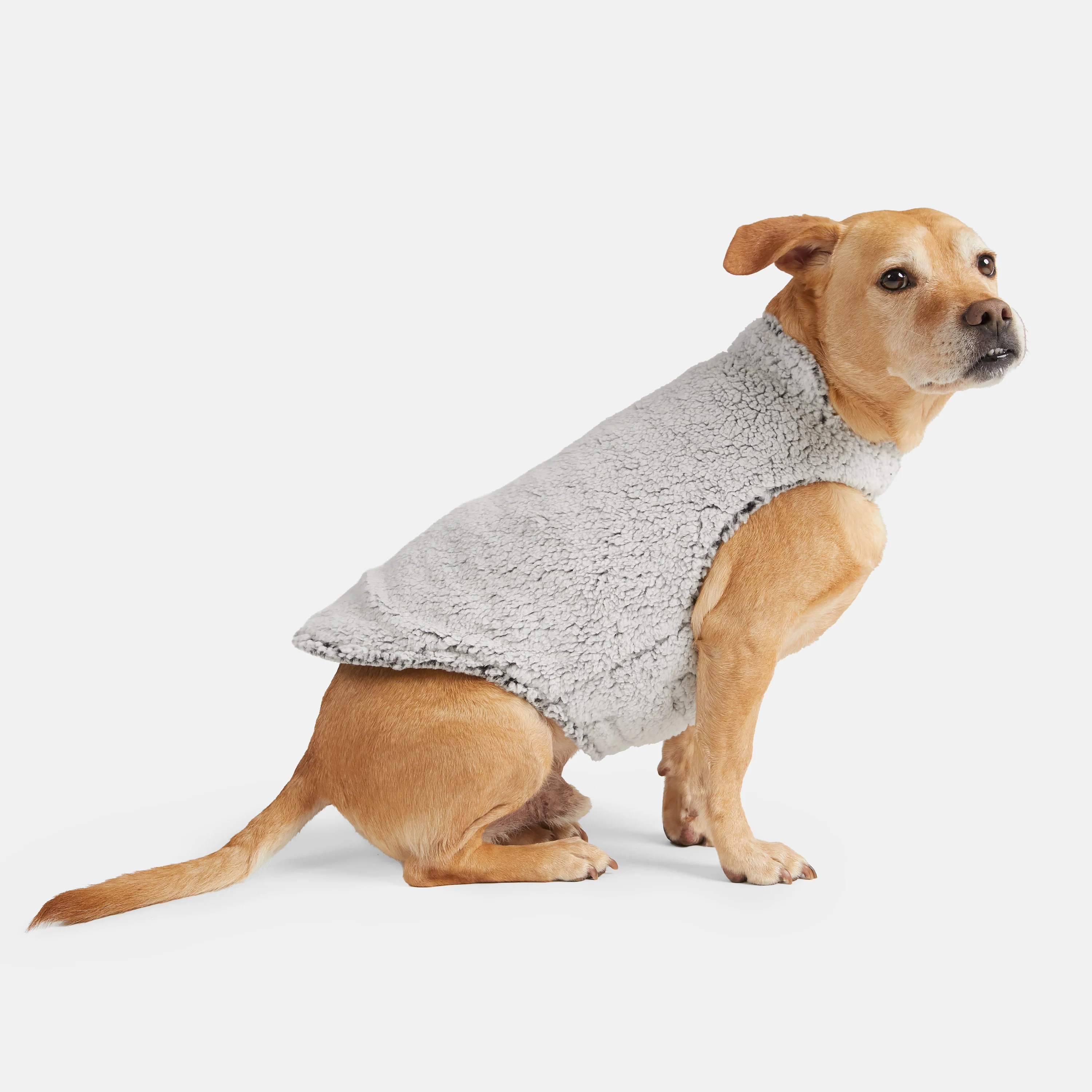Stratus Lite Reversible Dog Jacket - Image 4