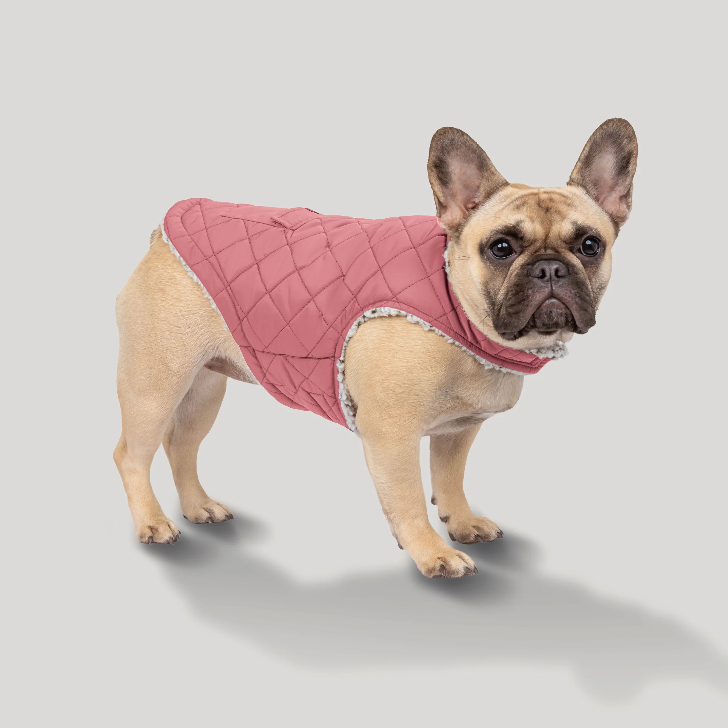 Stratus Lite Reversible Dog Jacket - Image 7