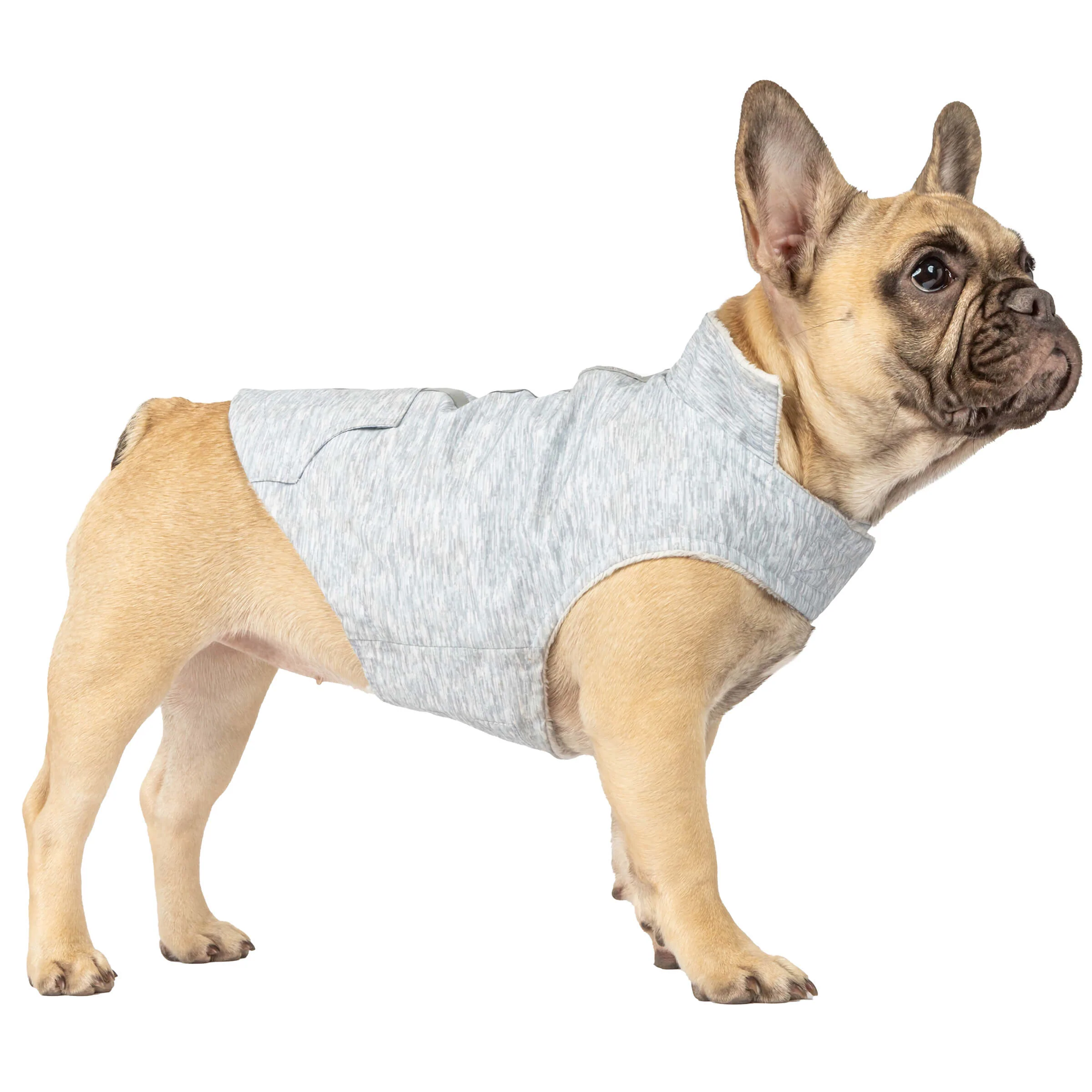 Dog Waterproof Raincoat - Image 3