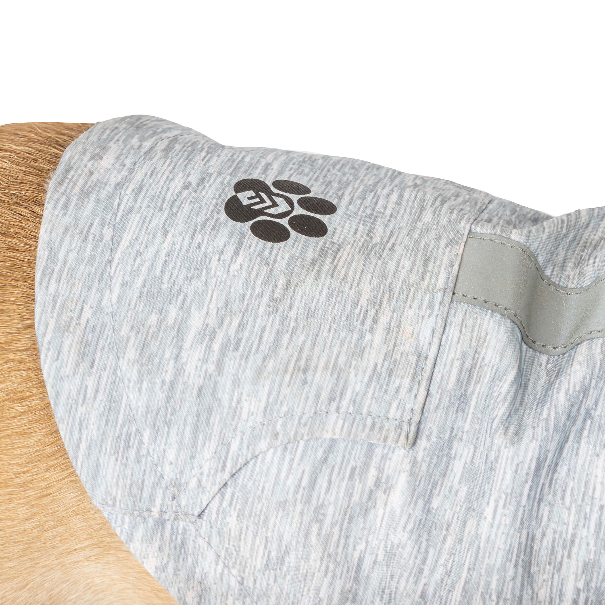 Dog Waterproof Raincoat - Image 4