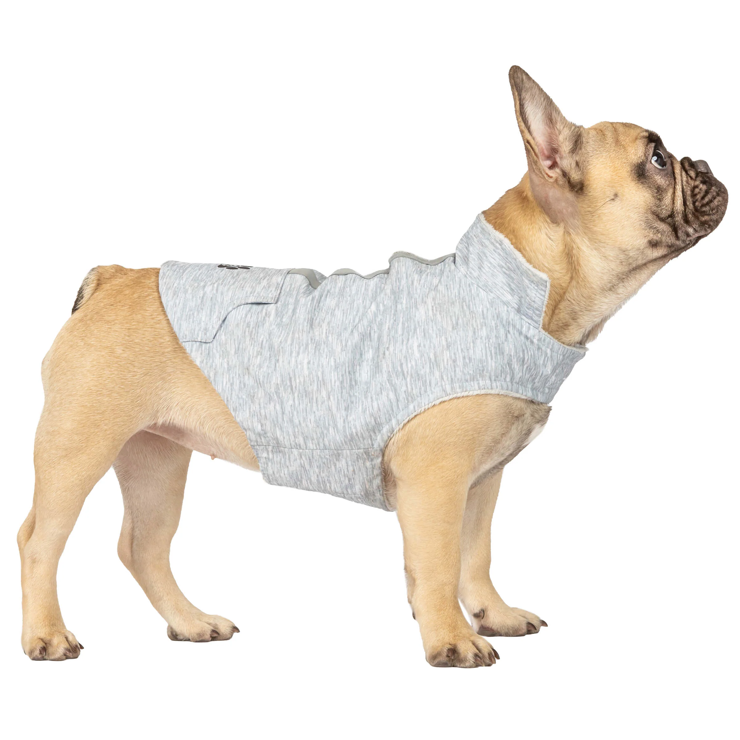 Dog Waterproof Raincoat - Image 5
